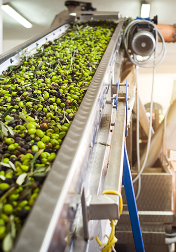 Industria agro-alimentare e vitivinicole
